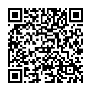 断然不会交到一个来历底细都不甚明了的人身上吧二维码生成