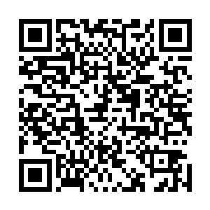斯内德直接不知道从哪里摸来一个肮脏的破布团和一根绳子二维码生成