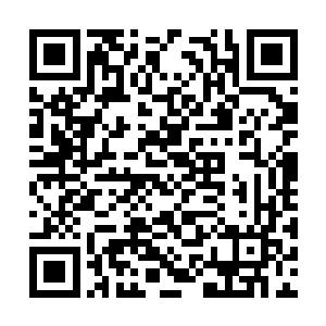 斯坦大巫散步一样在附近的一个中型部落里走了走二维码生成