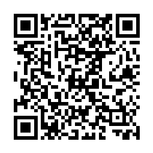 斯坦带领众魔战士和擂鼓的后狮等人一起看向严默那边二维码生成