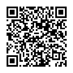 斯塔恩并没发现在所有猎人的箭头上都包裹着一层小包二维码生成