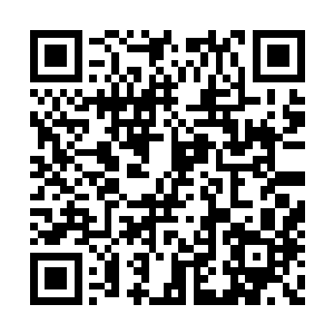 斯威特的单曲占据了前十名剩下的最后三个席位二维码生成