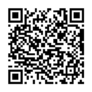 斯特林上校一年前就来到烈血荒原北部的秘密基地二维码生成