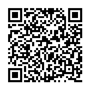 斯蒂芬一听立刻从手边的包里拿出了一个文件夹二维码生成