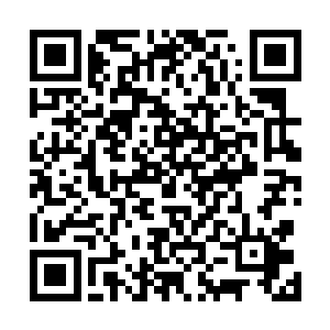 斯蒂芬对着贝海简单的说了一下自己两人负责案子的情形二维码生成