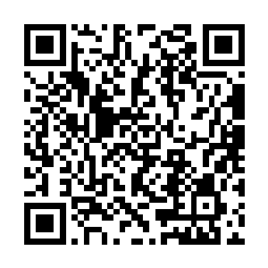 斯蒂芬把哈特曼和自己家族的一些事告诉了欢喜哥二维码生成