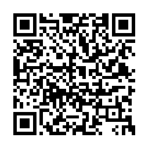 斯迈尔家族这次在第九区的贵族议会上大发雷霆二维码生成