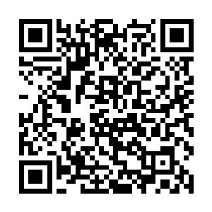 新井利则这边虽说赢了拍卖商社也得到了宣传的机会二维码生成