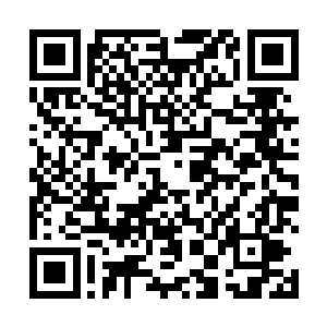 新井说的方案没有也不可能涉及到这类极品品质的鱼获二维码生成