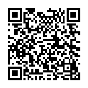 新人类五帝之一的义帝与双子殿的天宫仙女开战了二维码生成