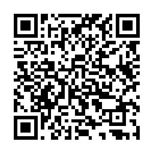 新任财税科科长苗海山和卫士长罗三棒见到张生进来二维码生成