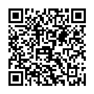 新任领导几乎都不喜欢沿用上一任领导用过的东西二维码生成