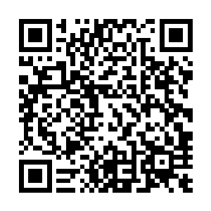 新加盟的建筑设计师们对公司刚开张就参与这么浩大的工程二维码生成