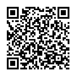 新学期开学的时候她像院子里其他堂哥堂姐一样背起书包二维码生成