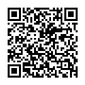 新月公主和金龙公子还准备趁着天魔公子打对方一个猝不及防二维码生成