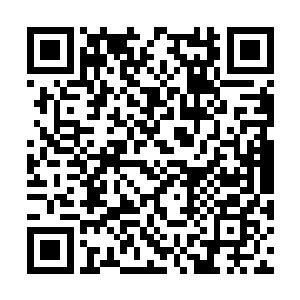 新来的主人和他带来的人只能在最上面的五层活动二维码生成
