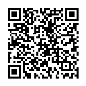 新来的塞边边民还会带来更大的市场需求与巨量的资金二维码生成