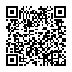 新生团与雷霆机甲团的名单肉眼看来是同时送达的二维码生成