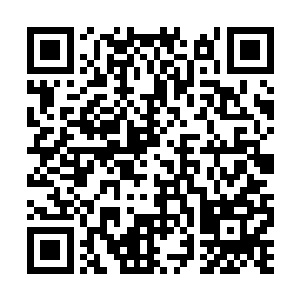 新生的冰火战队拿到了对他们来说至关重要的一分二维码生成