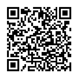 新生的地之脉轮如一个金光灿烂的星盘在缓缓运转着二维码生成