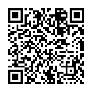 新的一周开始了~~求票票~~~我在群里发起了一项投票活动二维码生成