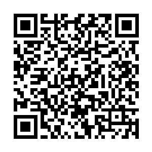 新的几部手机加笔记本电脑让巴克换到了一只小羊二维码生成