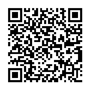 新皇登基之后哀家就会让人宣布皇后因为先皇驾崩郁郁而终二维码生成