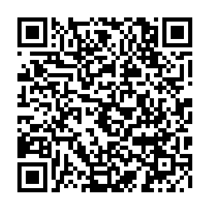 新闻记者朋友们公布方寸公司和新未来研究所共同研制成功的复合油项目二维码生成