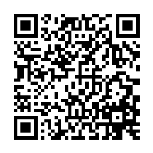 新鲜水果能够开发出一个全新的品种那绝对不是一件容易的事情二维码生成