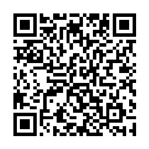 方便了蓝洛凤将凌兰是女孩子这个秘密给隐藏了下来二维码生成