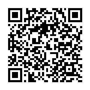 方凌正在思索着何种道纹能够是适合自己的玄牝元婴二维码生成