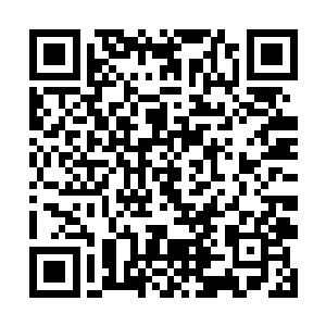 方剑雄很清楚自己从小给两位儿子都灌输了什么观念二维码生成