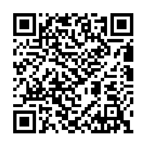 方力一手拿着一朵玫瑰花放在鼻子前用力的闻着二维码生成