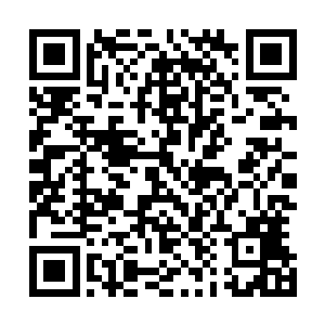 方力在听到特制饮料的时候手中的玫瑰花被他不经意折断了二维码生成