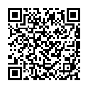 方圆两百米的传送门广场俨然成了战场赛的场地二维码生成