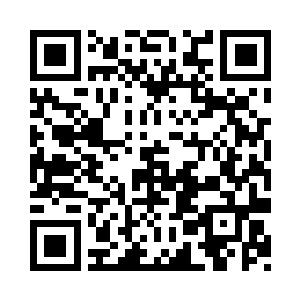 方圆五百米范围内……几乎所有的树木二维码生成