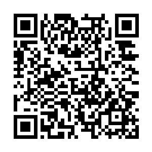 方圆百里再没有这么大的水域能容的下他的身躯了二维码生成