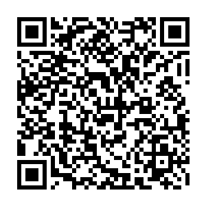 方圆百里巨大的战争城堡如同四座巨大的山脉向着超级势力联盟冲撞了过去二维码生成