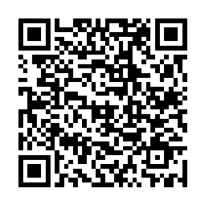 方家十八小姐在自家大约找不到一个合适的说话人二维码生成