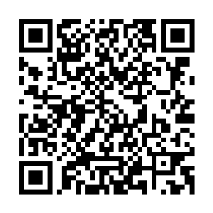 方家原本培养出来准备用作接班的天赋选手莫轻敌也不是方家人二维码生成