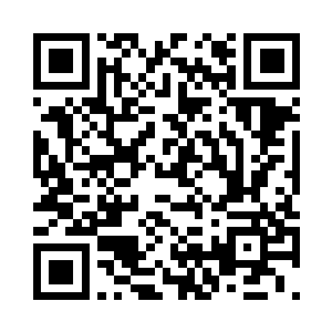 方寸公司只是一只可怜的小虾米而已二维码生成