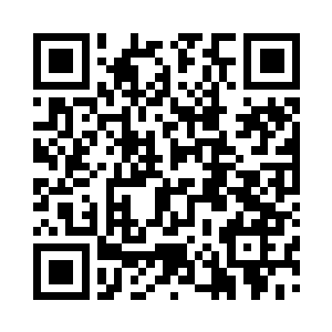 方寸公司这里主要负责养殖海马和海葵二维码生成