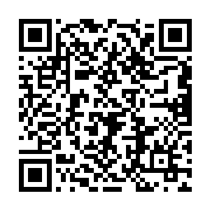 方寸海鲜酒楼生意的火爆确实超出了雷欢喜的想象二维码生成