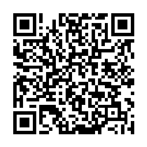 方师叔就应该狠狠的将那不要脸的桐冠道人打成猪头二维码生成