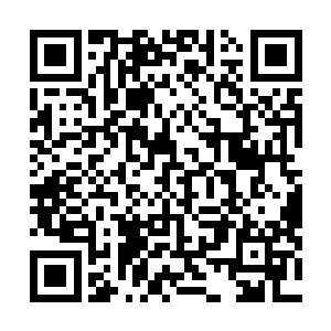 方应物又看到大院当中的树下赫然站着位相貌堂堂的男子二维码生成