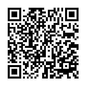 方应物甚至看到那几位阁老也远远地瞥了他几眼二维码生成