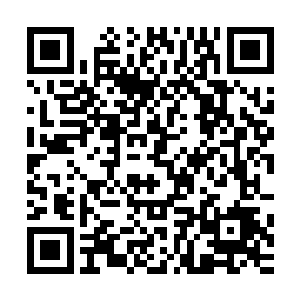 方才不过是借助恐狼的强悍速度跟力量作用才爆发凶猛的力量二维码生成