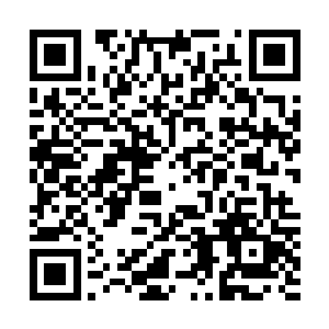 方才参加比试的世家少爷和大家闺秀可以自由挑选比试项目二维码生成