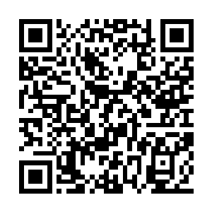 方才叶叮当的关心仿佛再次激活了他心中的感情二维码生成