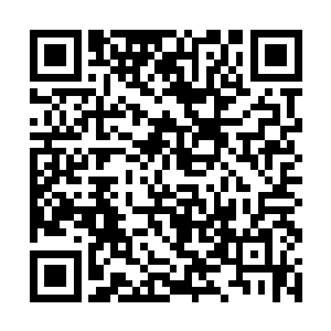 方才将注意力放在中阶剑王组和高阶剑王组的战斗上二维码生成